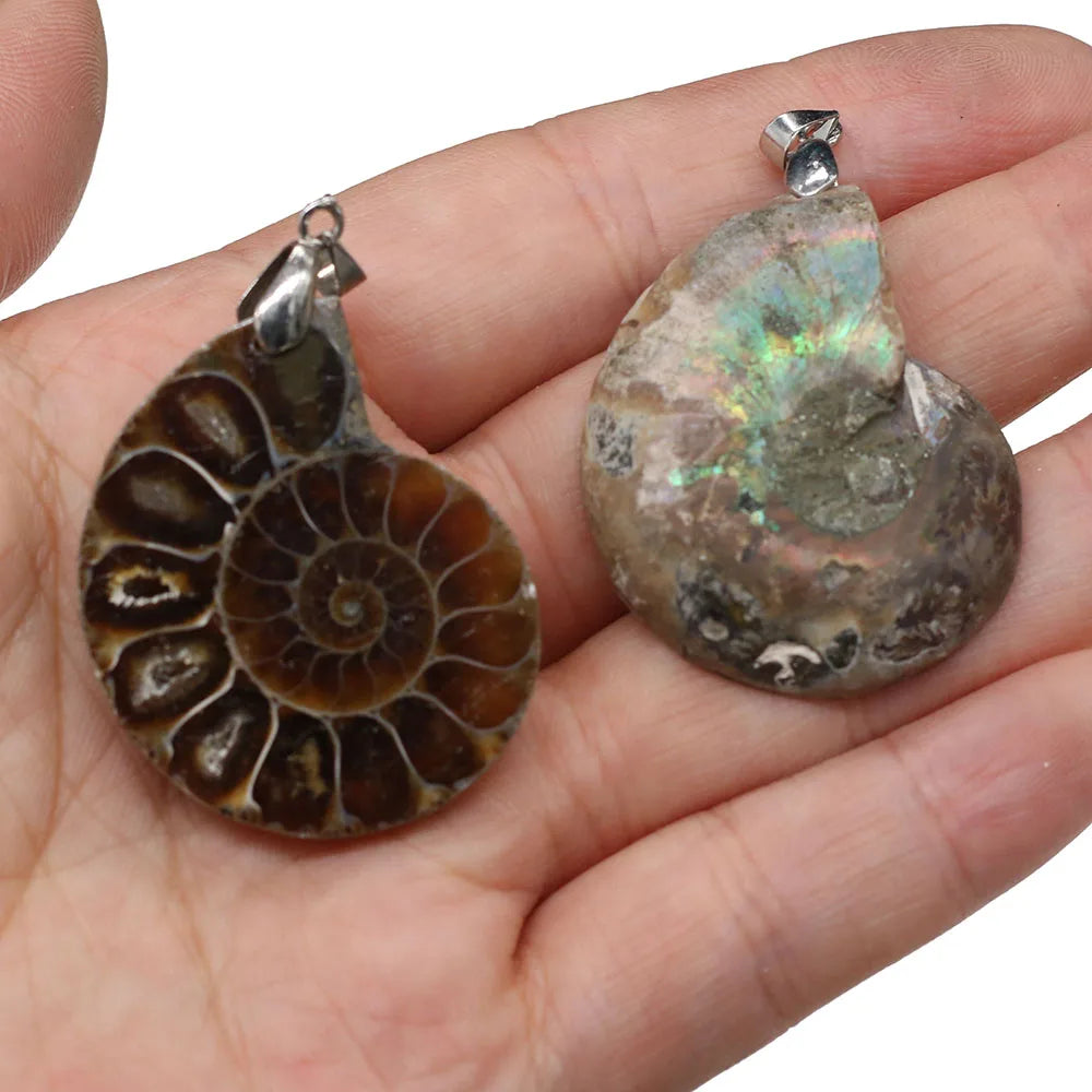 1pc Natural Stones Pendants Ammonite Seashell Snail Ocean Reliquiae Conch Charms Jewelry Making DIY Animal Necklace Accessories Leedoar