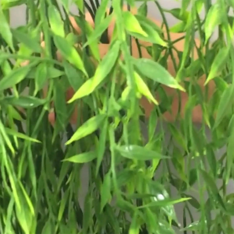 Artificial Ivy Plants Garland Vine Fake Plastic Leaves Willow Hanging Green Plant for Indoor Outdoor Decoration Garden Wedding Leedoar