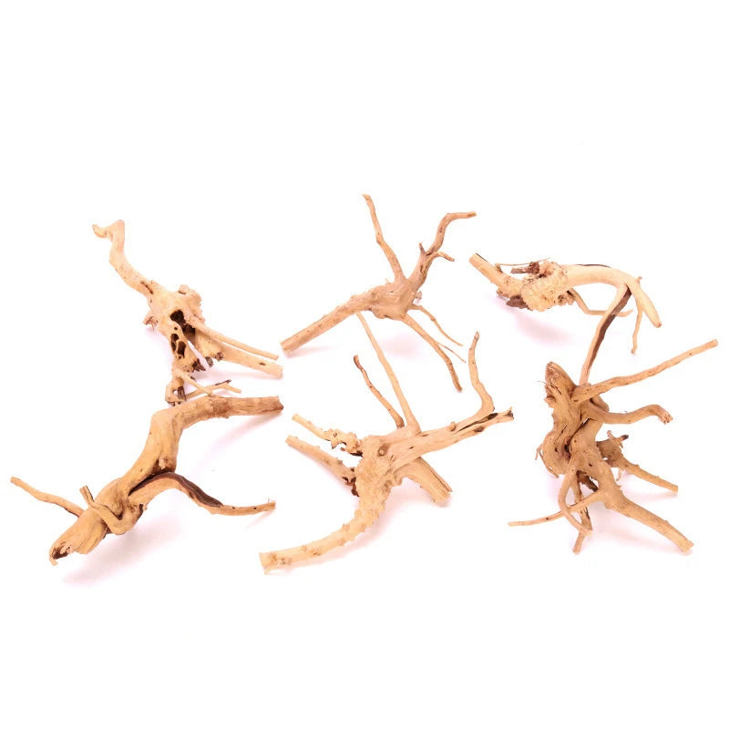 Natural Driftwood Cuckoo Roots Dead-wood Tree Trunk Micro Landscape Creative Reptile Cylinder Fish Tank Ornament Aquarium Decor Leedoar