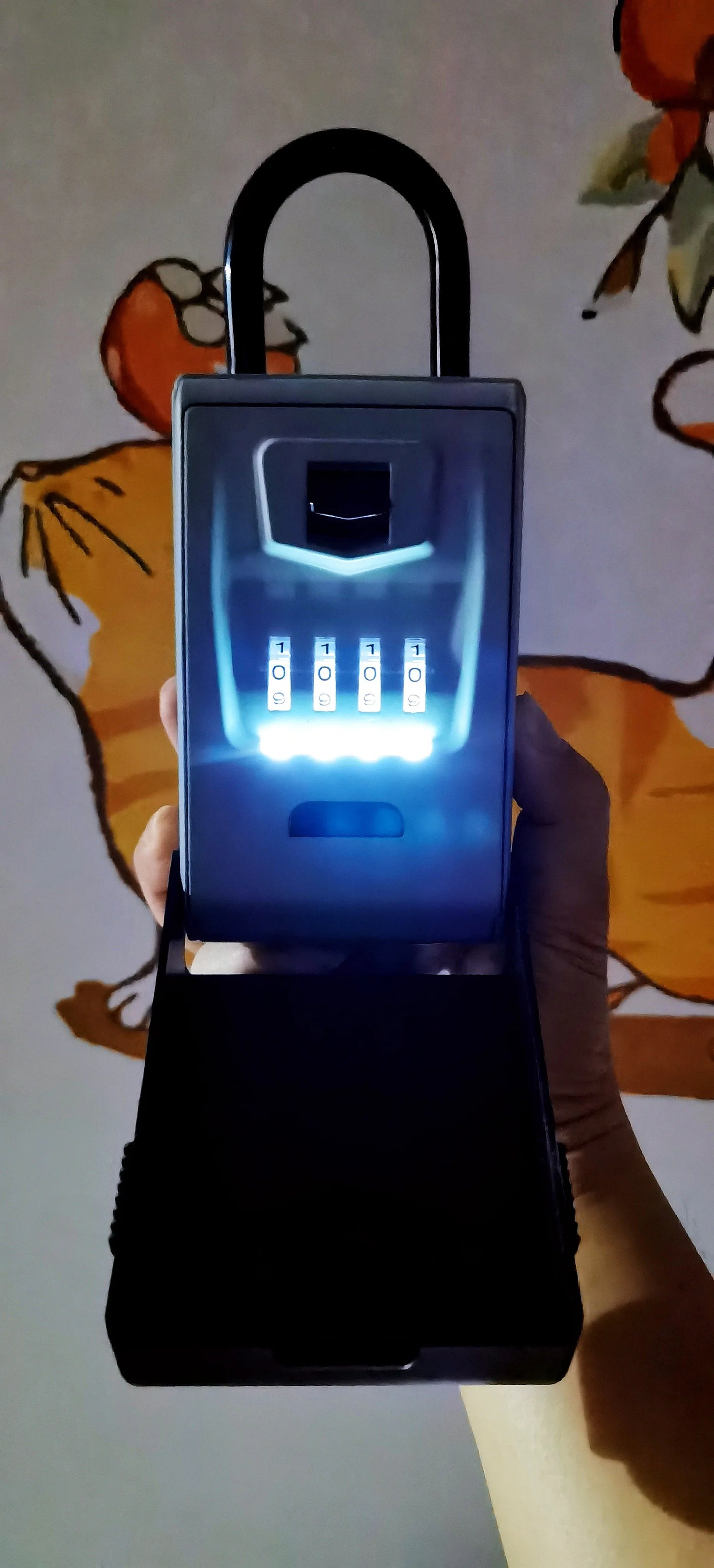 Luminescent Key Box With Night Vision Waterproof Hook Password Keylock Hanging Outdoor Anti-theft Metal Key Safe Deposit Box Leedoar