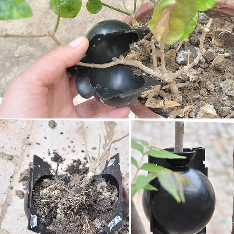 10Pcs Plant Rooting Ball Propagation Rooting Box Reusable Plant Root Growing Box Cuttings Grafting Rooting Propagation Pots Leedoar