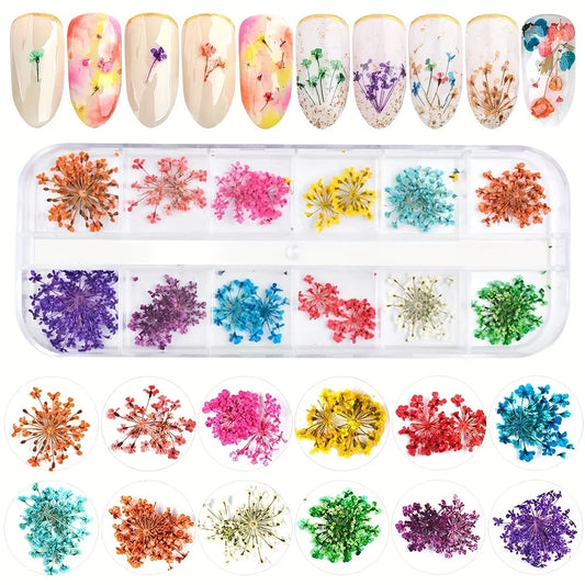 12 Colors Dried Flowers for Nail Art Mini Real Natural Flowers 3D Applique Nail Decoration Leedoar