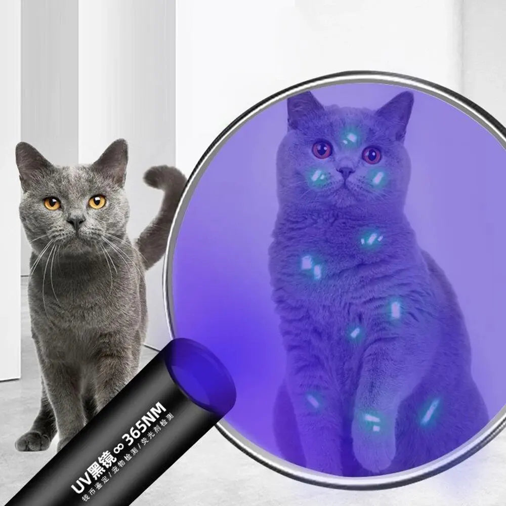 1PC Cat Moss Detection Light Black Mirror UV Fluorescent Light Pet Fungus Detection Veterinary Professional Equipment Leedoar