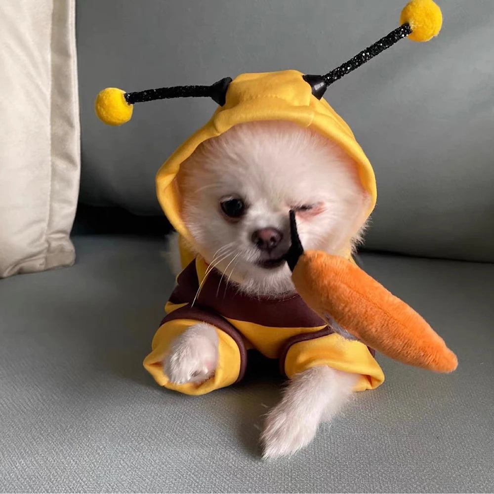 1PC Dog Clothes Autumn/Winter Schnatzer Teddy Small Puppy Cat Pet Clothes Hoodie Bees Turn Into Party Supplies Leedoar