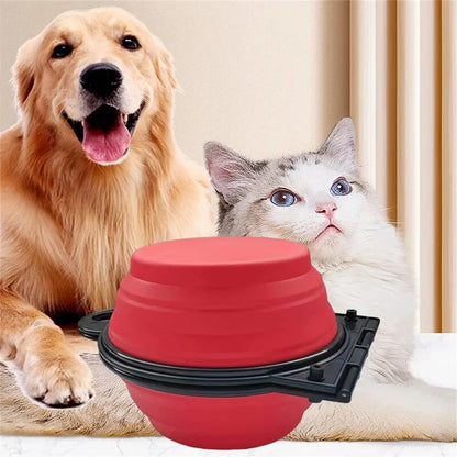 1PCS Foldable 2-in-1 Pet Dual Bowl Portable Dog Travel Bowl Foldable Dog Food Bowl Drinking Bowl Outdoor Travel Camping Walking