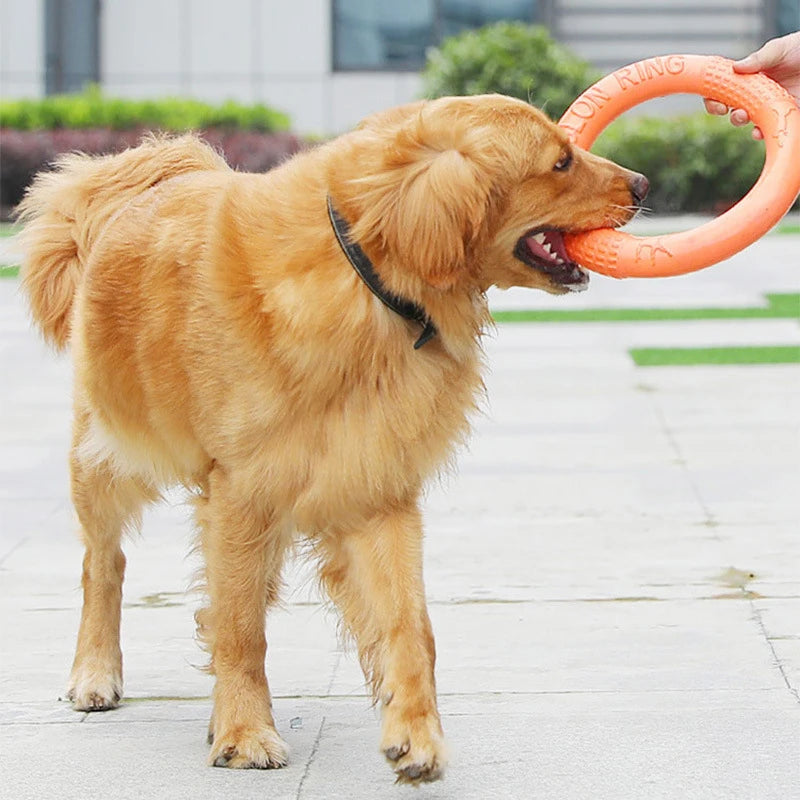 1PCS Orange Dog Toys Pet Flying Disk Training Ring Puller EVA Interactive Training Ring Puller Resistant for Dogs Training Toys Leedoar