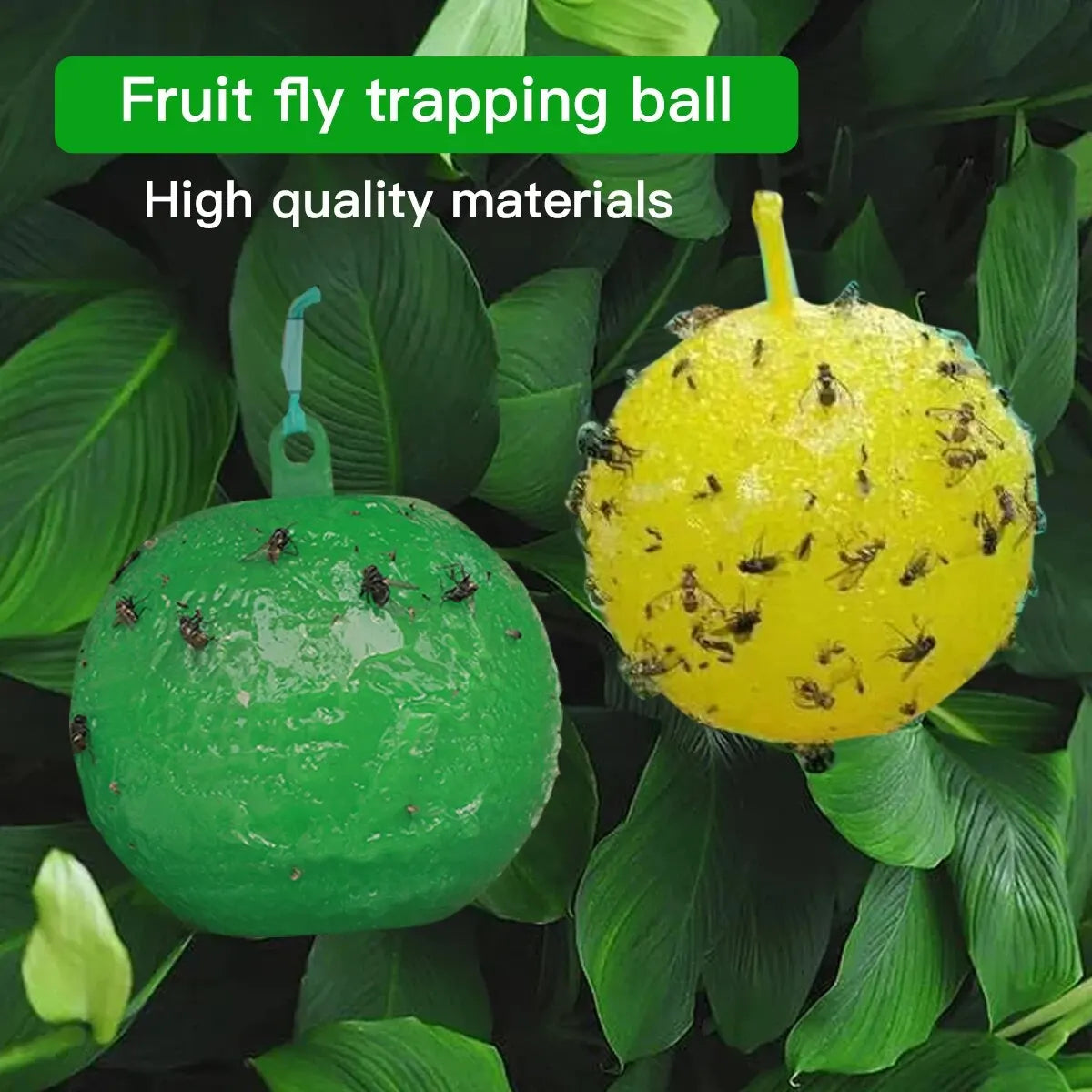 2 Pieces/set of Fruit Fly Traps with Spherical Strong Adhesive to Trap Small Flying Insects and Pests in Orchard Farms Leedoar