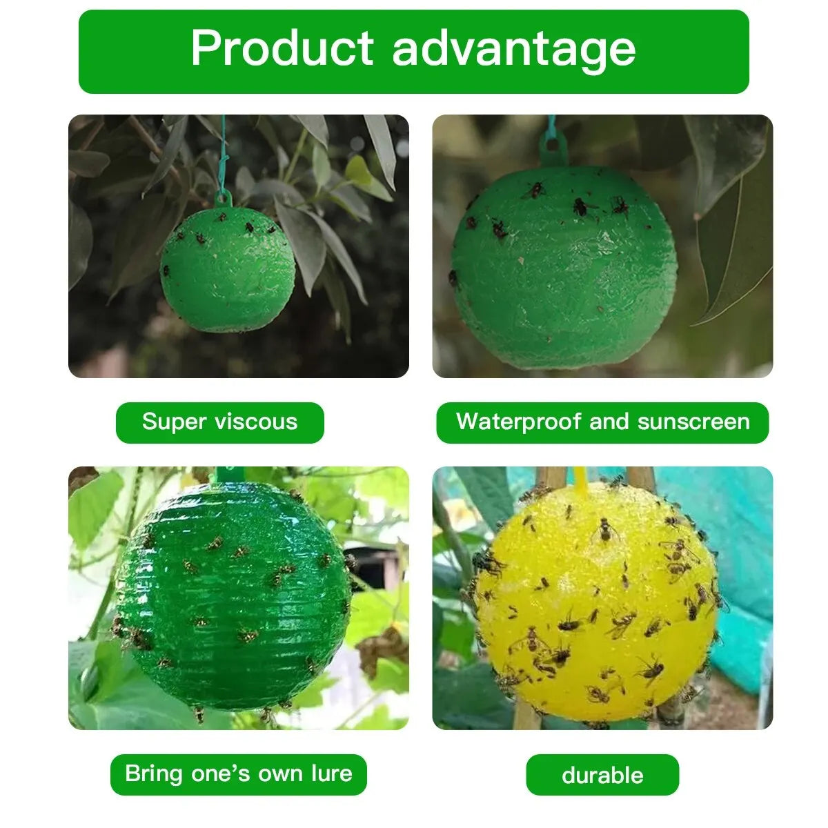 2 Pieces/set of Fruit Fly Traps with Spherical Strong Adhesive to Trap Small Flying Insects and Pests in Orchard Farms Leedoar