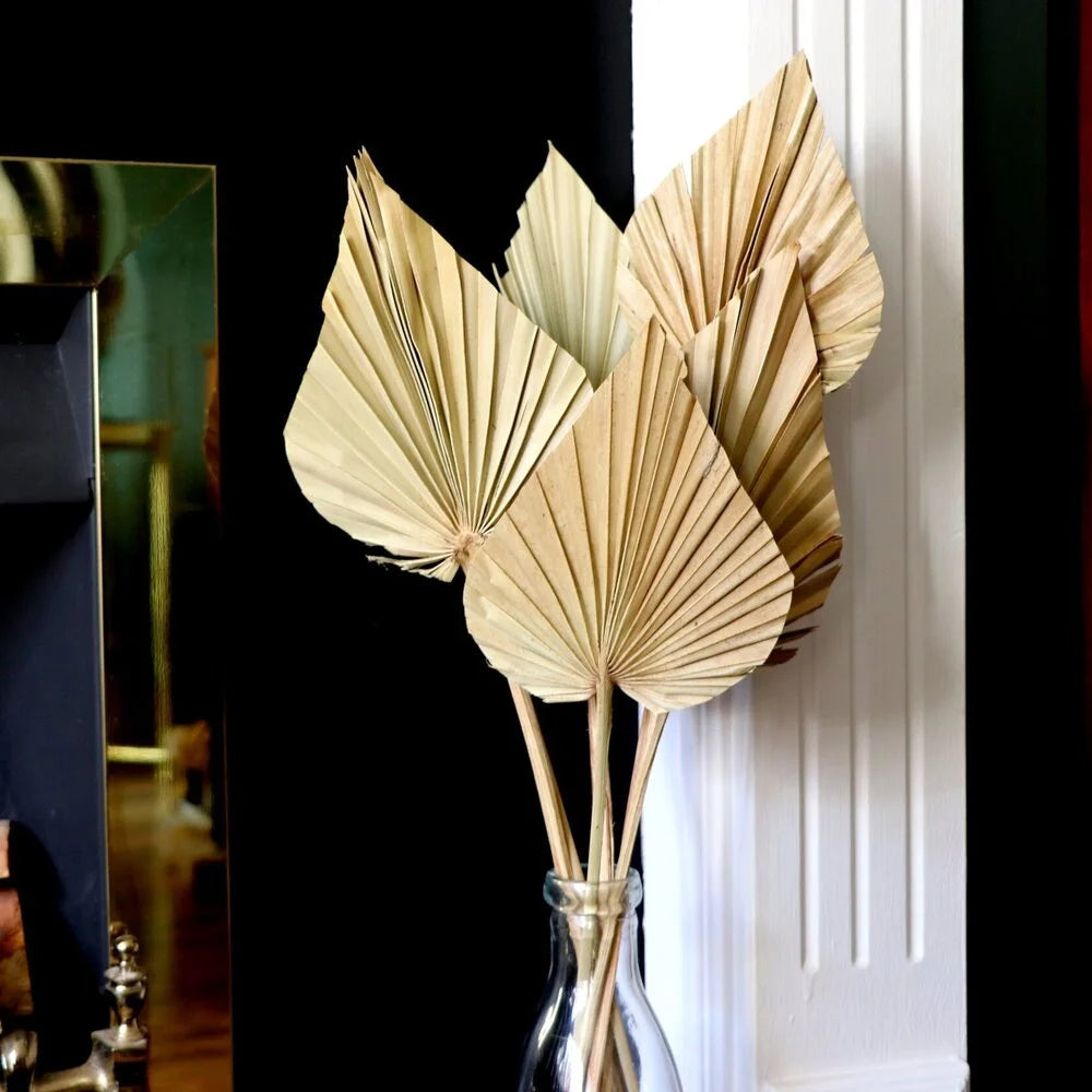 2PCS Palm Fan Leaf Dried Flower Mini Palm Leaves In Different Shapes Pampas Grasses Branches DIY Wedding Decorations Home Decor Leedoar