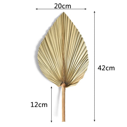 2PCS Palm Fan Leaf Dried Flower Mini Palm Leaves In Different Shapes Pampas Grasses Branches DIY Wedding Decorations Home Decor Leedoar