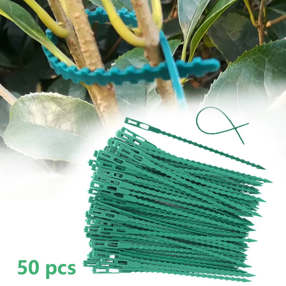 50pcs Adjustable Plastic Plant Cable Ties Reusable Cable Ties for Garden Tree Climbing Support Plant Vine Tomato Stem Clip Leedoar