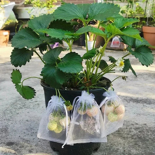 50pcs Fruit Protection Bags Pest Control Anti-Bird Garden Netting Strawberry Bags Mesh Grapes Bag Drawstring Planter Grow Bags Leedoar