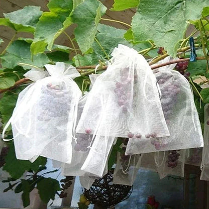 50 bolsas de protección para frutas, control de plagas, red antipájaros para jardín, bolsas de fresas, bolsas de malla para uvas, bolsas con cordón para cultivo de plantas 