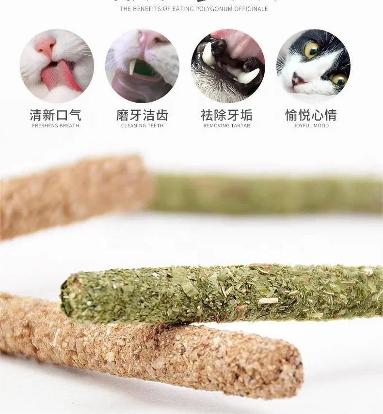 6pcs Natural Matatabi Cat Stick Mint Caught Bite Excited Rods Silvervine For Cat Teeth Cleaning Treating Pet Supply Cat Toys Leedoar