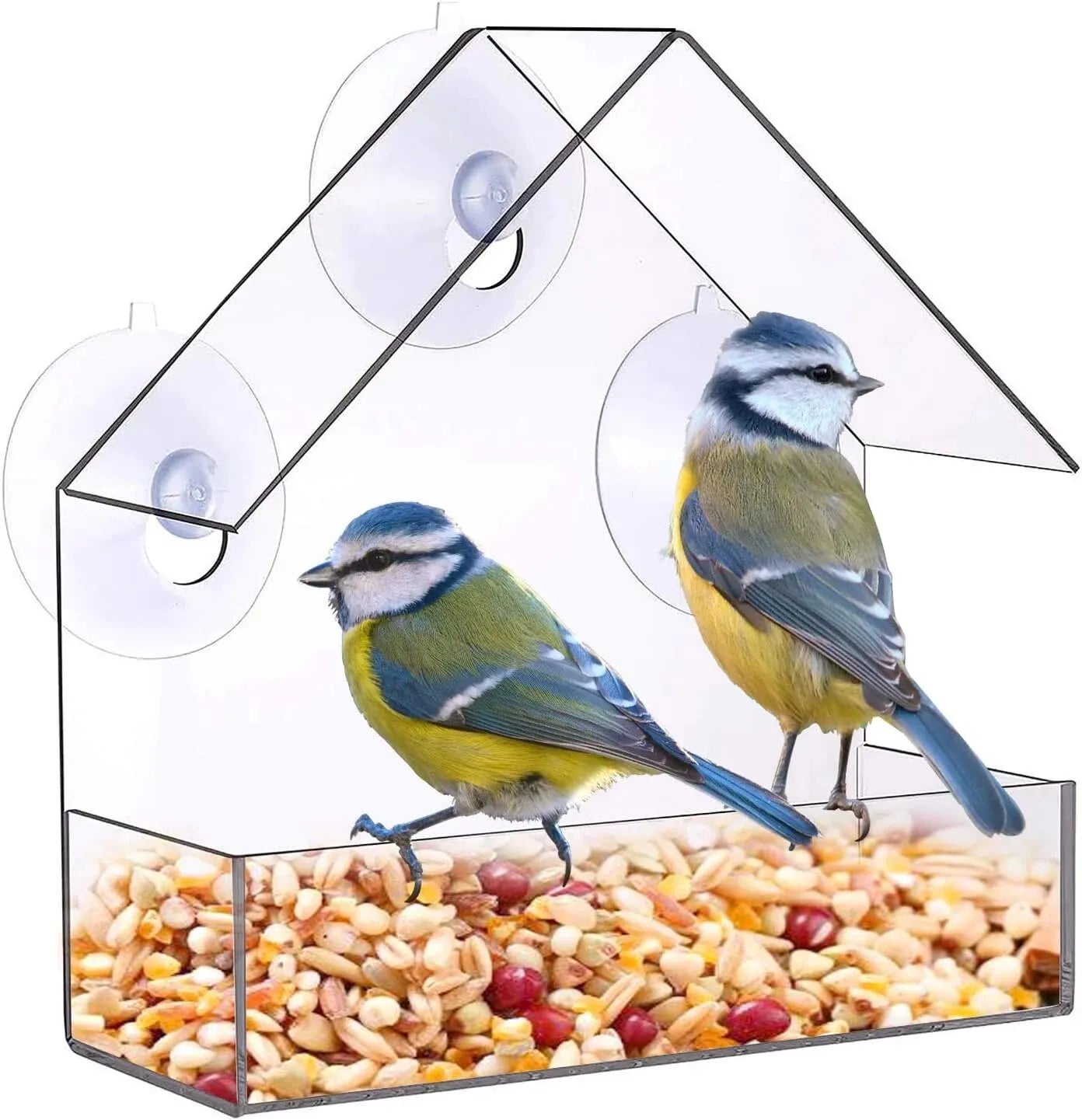 Acrylic Bird Feeder Clear Window Outside Hanging Bird Feeder House with Suction Cup for Garden Outdoor Backyard Wildlife Birding Leedoar