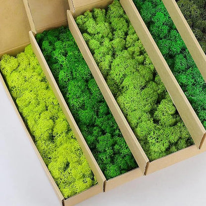 Artificial Green Plants Fake Grass Eternal Life Moss Grassfor Home Living Room Garden Decor Mini Landscape DIY Crafts 200g Leedoar