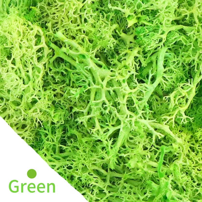 Artificial Green Plants Fake Grass Eternal Life Moss Grassfor Home Living Room Garden Decor Mini Landscape DIY Crafts 200g Leedoar