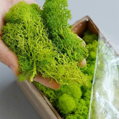 Artificial Green Plants Fake Grass Eternal Life Moss Grassfor Home Living Room Garden Decor Mini Landscape DIY Crafts 200g Leedoar