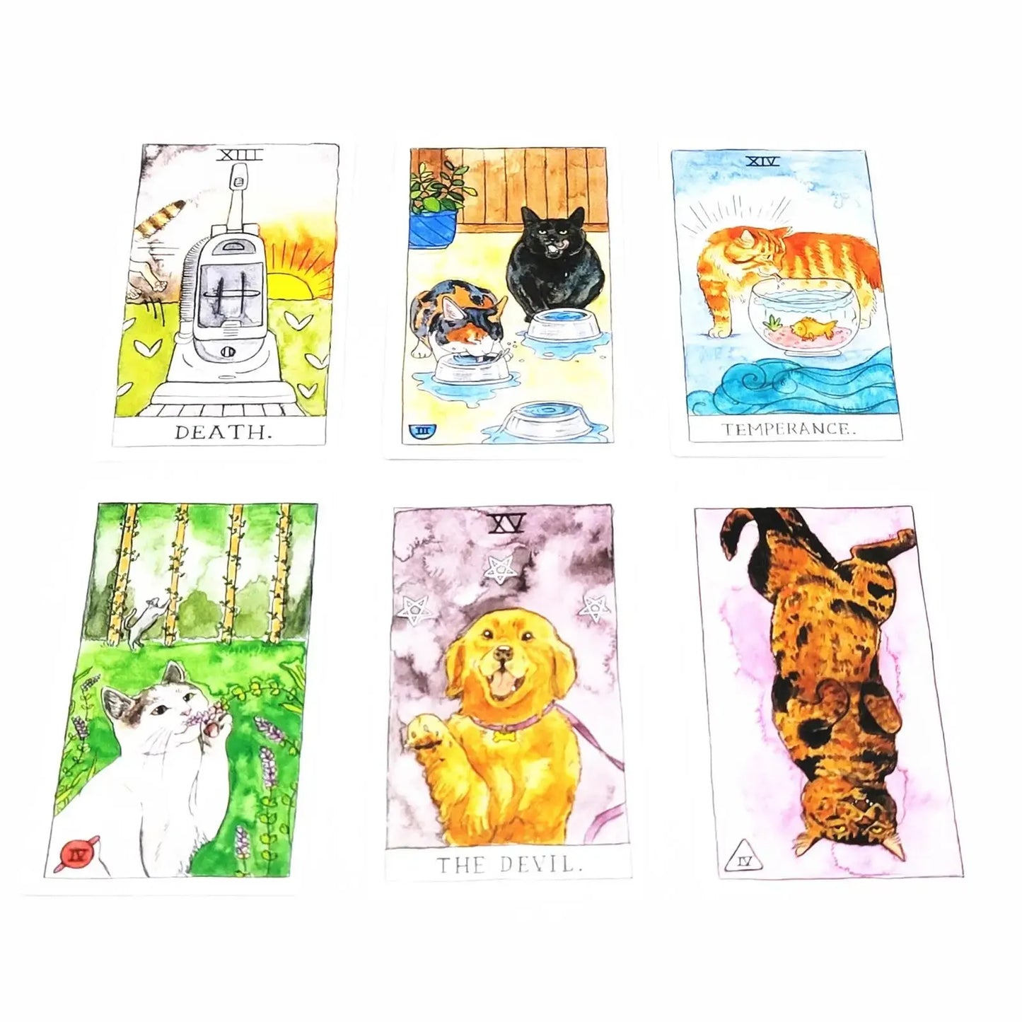 Tarot do Gato: 78 Cartas 