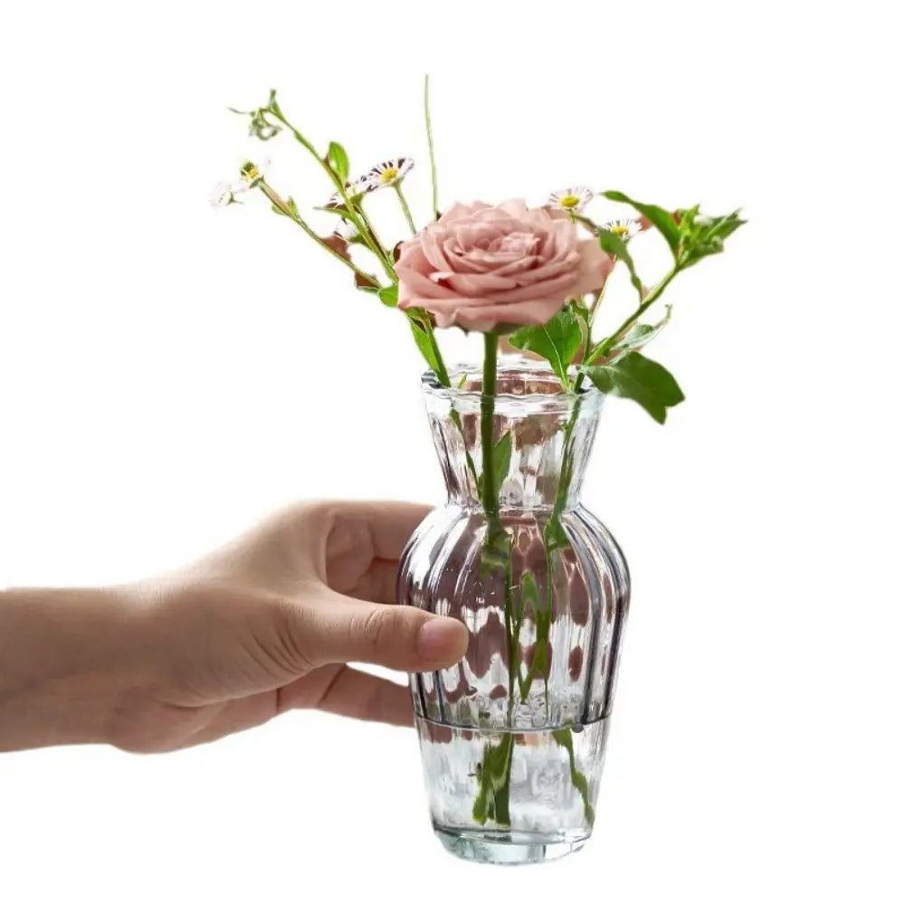 Cute Transparent Glass Hydroponic Pomegranate Small House Vase Single Mini Desktop Scandinavian Style Dried Flowers Leedoar