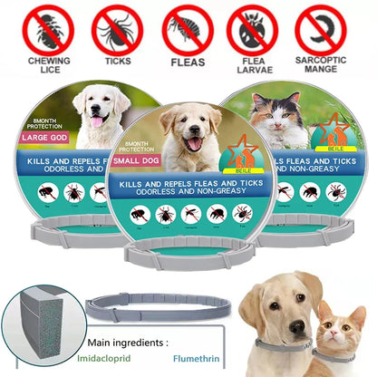 Dog Anti Flea And Ticks Cats Collar Pet 8Month Protection Retractable Pet Collars For Puppy Cat Large Dogs Accessories Leedoar