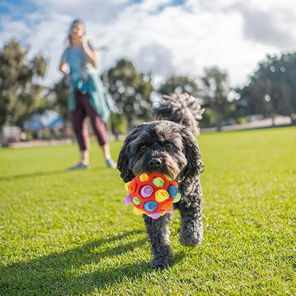 Dog Toy Snuffle Ball for Dogs Training the Sense of Smell Portable Interactive Snuffle Ball for Pet Foraging Instinct Training