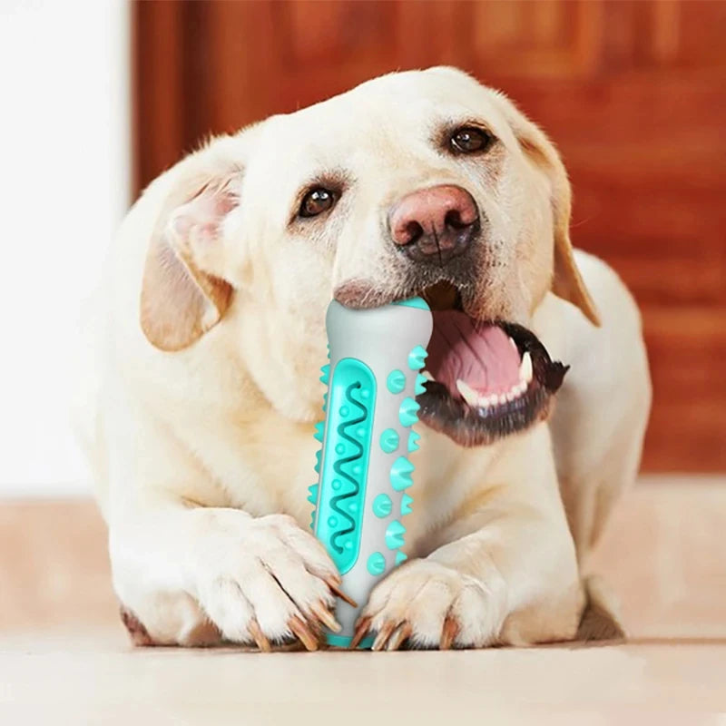 Dog Toy Teething Stick Chewable Teeth Cleaning Bones Dog Toothbrush TPR Safe Puppy Dental Care Cleaning Toys Supplies Leedoar