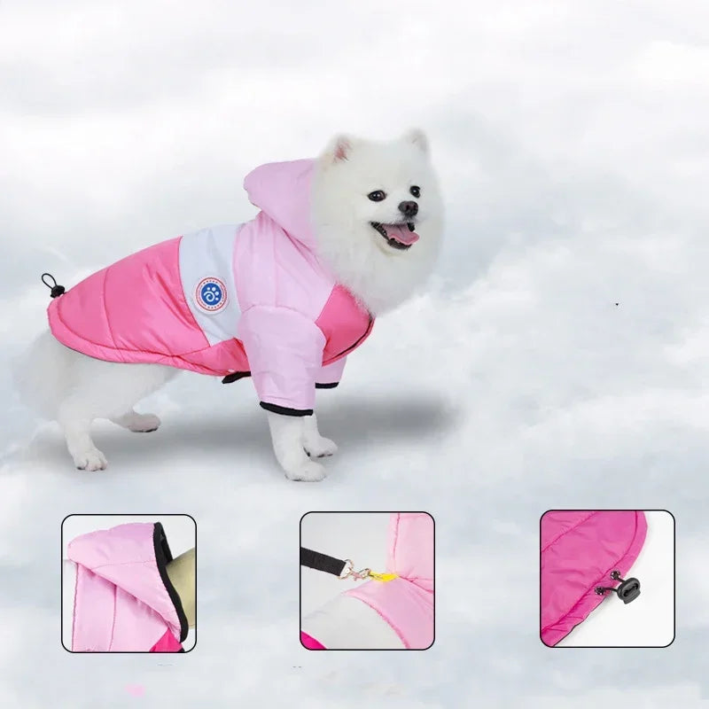 Dog Winter Pet Cotton Jacket Outfit Warm pet Clothes Puppy Coat For Small Medium Dogs Cats Chihuahua Bulldog Maltese Clothing Leedoar