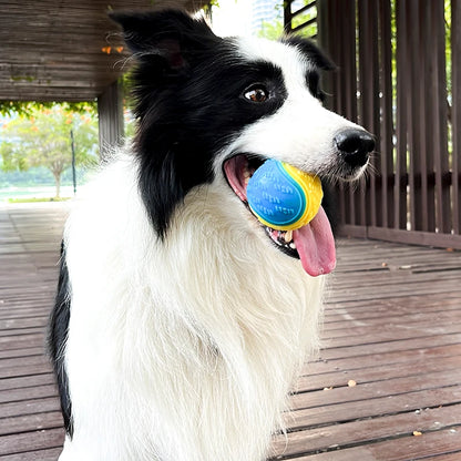 Dogs  Interactive Toys Soft TPR Toys for Dog Pet Teeth Cleaning Bite Resistance Squeaky Dog Ball Toy Leedoar