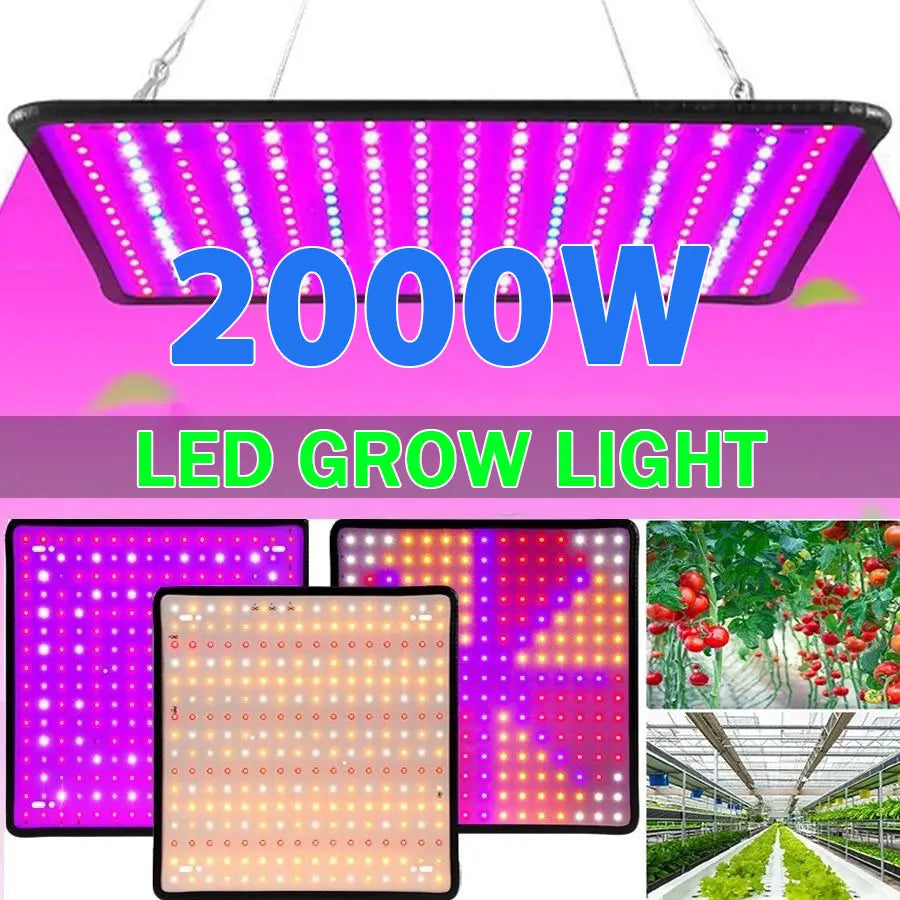 LED Plant Grow Light 1000W/2000W Full Spectrum Hydroponic Growing Lamp Plants Phyto Veg Flower Indoor Panel Phytolamp Leedoar