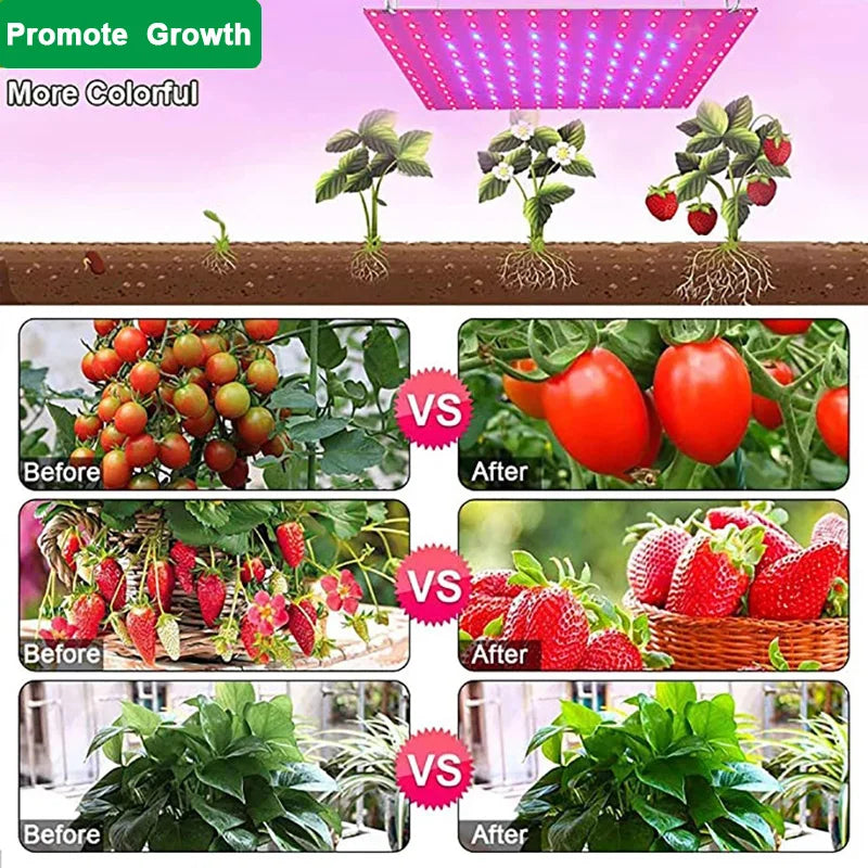 LED Plant Grow Light 1000W/2000W Full Spectrum Hydroponic Growing Lamp Plants Phyto Veg Flower Indoor Panel Phytolamp Leedoar