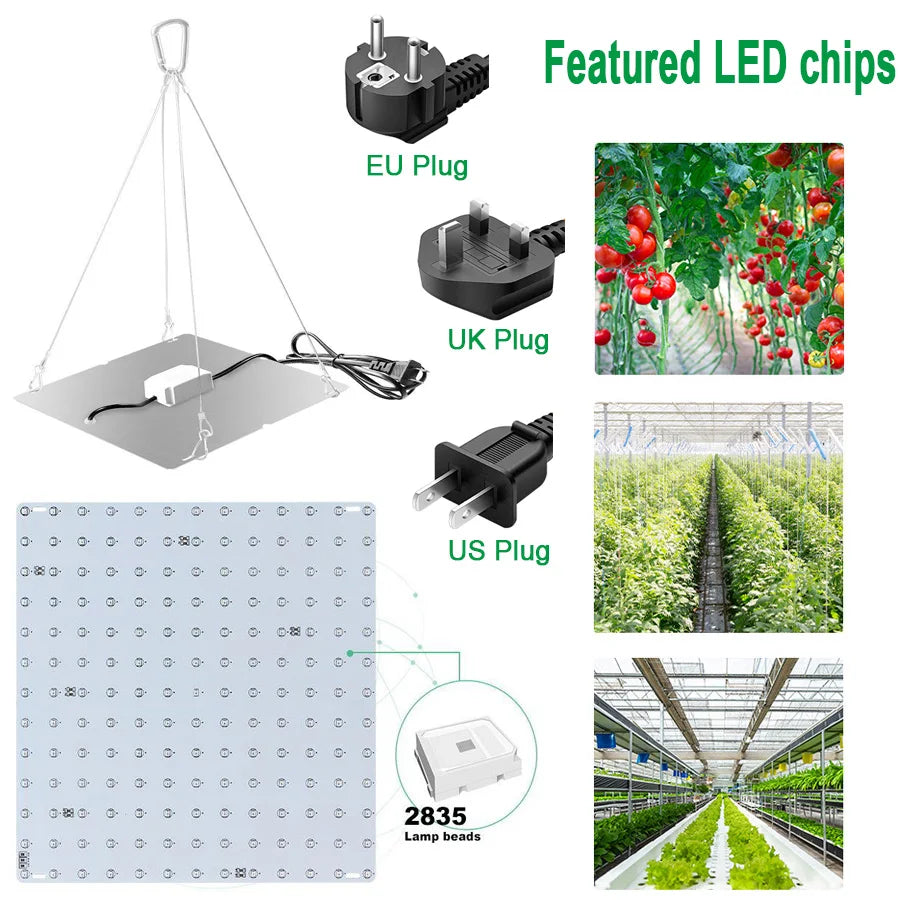 LED Plant Grow Light 1000W/2000W Full Spectrum Hydroponic Growing Lamp Plants Phyto Veg Flower Indoor Panel Phytolamp Leedoar