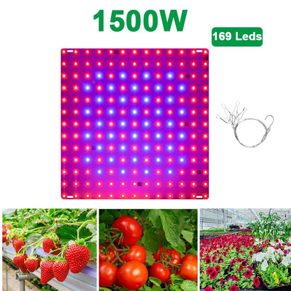 LED Plant Grow Light 1000W/2000W Full Spectrum Hydroponic Growing Lamp Plants Phyto Veg Flower Indoor Panel Phytolamp Leedoar