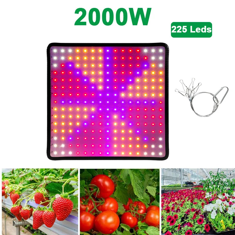 LED Plant Grow Light 1000W/2000W Full Spectrum Hydroponic Growing Lamp Plants Phyto Veg Flower Indoor Panel Phytolamp Leedoar