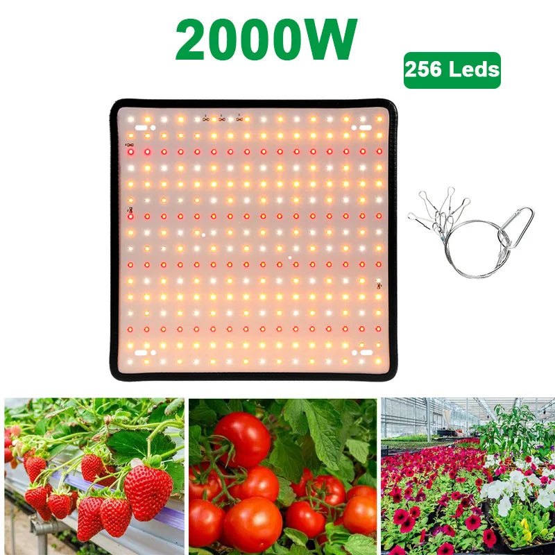 LED Plant Grow Light 1000W/2000W Full Spectrum Hydroponic Growing Lamp Plants Phyto Veg Flower Indoor Panel Phytolamp Leedoar