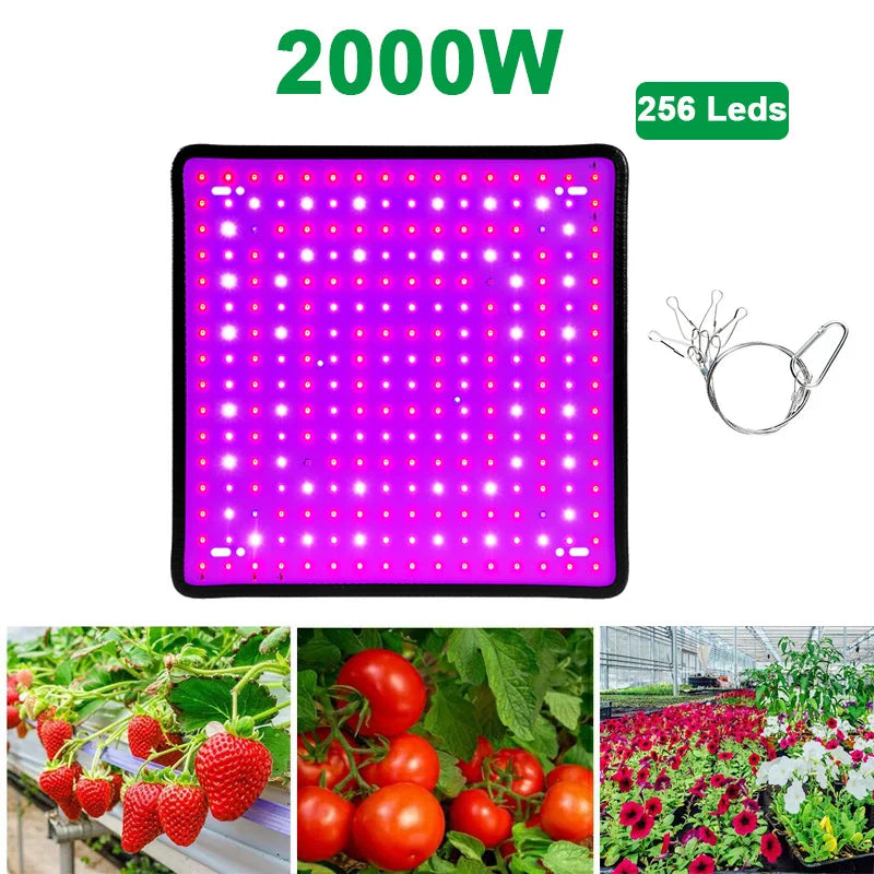 LED Plant Grow Light 1000W/2000W Full Spectrum Hydroponic Growing Lamp Plants Phyto Veg Flower Indoor Panel Phytolamp Leedoar