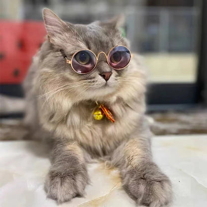 Lovely Vintage Round Cat Sunglasses Reflection Eye wear glasses For Small Dog Cat Pet Photos Pet Products Props Accessories