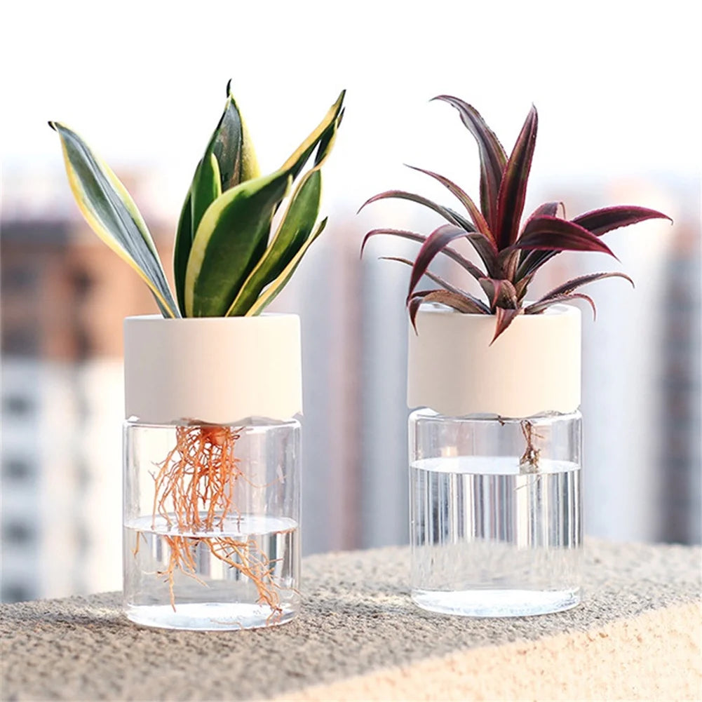 Mini Hydroponic Flower Pot Home Vase Decor Transparent Imitation Glass Soilless Plant Pots Green Plants Pot For Home Decoration Leedoar