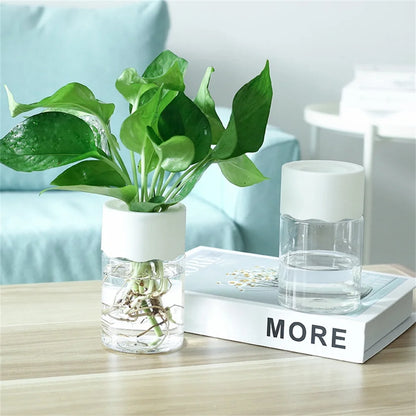 Mini Hydroponic Flower Pot Home Vase Decor Transparent Imitation Glass Soilless Plant Pots Green Plants Pot For Home Decoration Leedoar