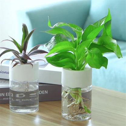 Mini Hydroponic Flower Pot Home Vase Decor Transparent Imitation Glass Soilless Plant Pots Green Plants Pot For Home Decoration Leedoar