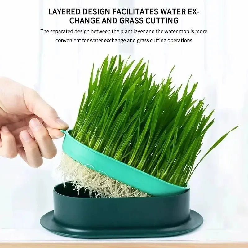 New Pet Cat Sprout Dish Growing Pot Hydroponic Plant Cat Grass Germination Digestion Starter Dish Greenhouse Grow Box Leedoar