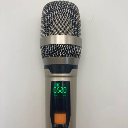 LEEDOAR HT-20A Dual UHF Anti-Interference Microphones (1-to-2 System) for Outdoor Trolley Speaker Performances Karaoke