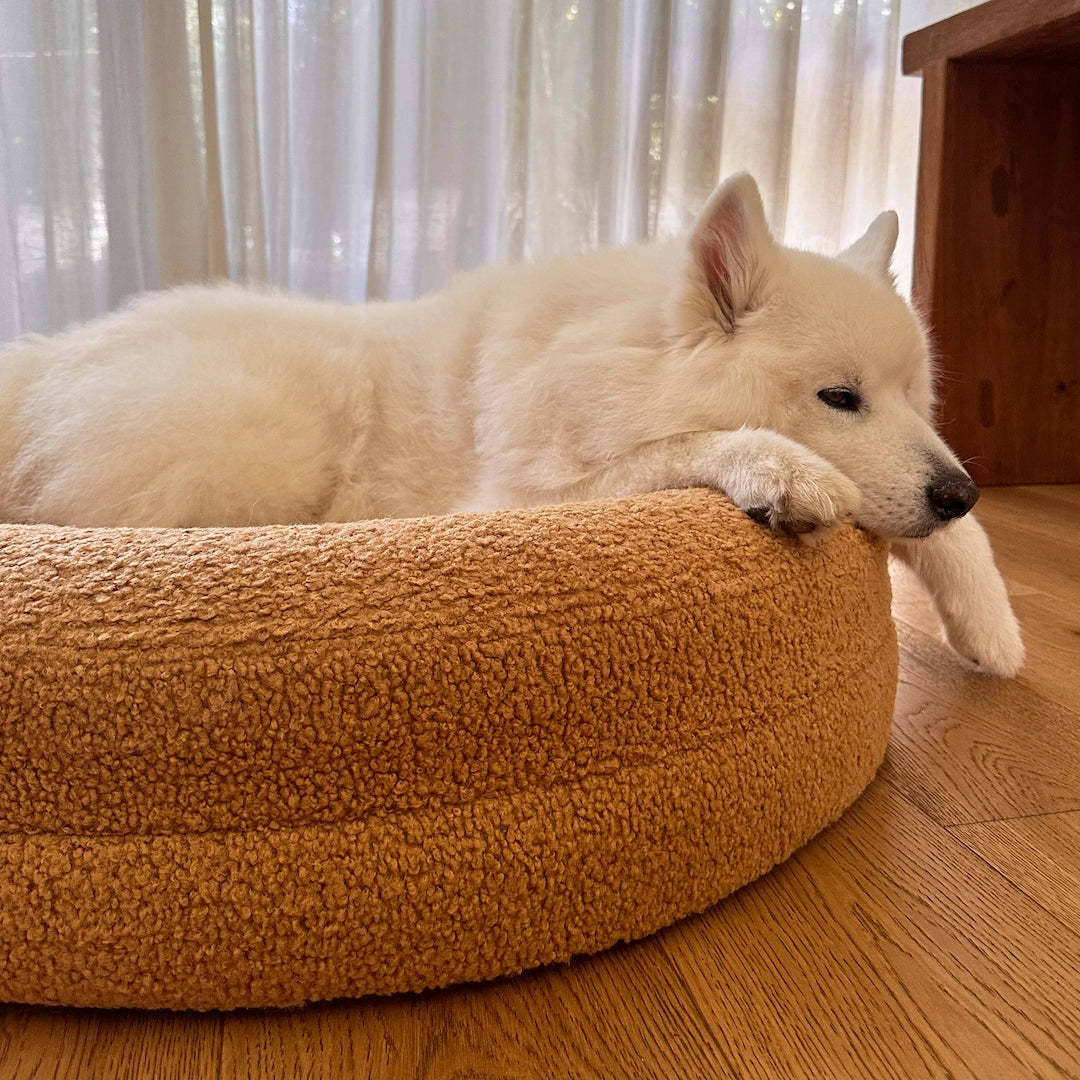 Winter Warm Dog Bed for Large Pets (Labrador, Golden Retriever, etc.) - Removable & Washable, Fall/Winter Dog Mat