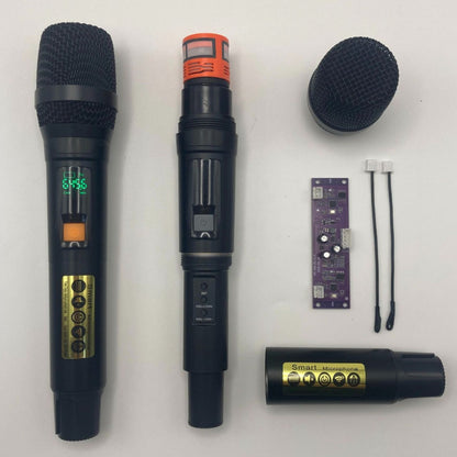 LEEDOAR HT-21 Wireless Microphone System (1-to-2) With Anti-Feedback Technology for Trolley Speaker  Outdoor Performances Karaoke– Hot-Selling in Vietnam and Cambodia