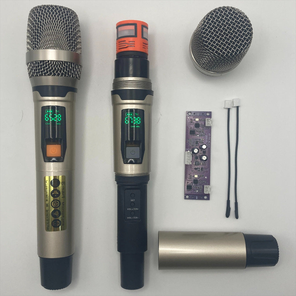 LEEDOAR HT-20A Dual UHF Anti-Interference Microphones (1-to-2 System) for Outdoor Trolley Speaker Performances Karaoke
