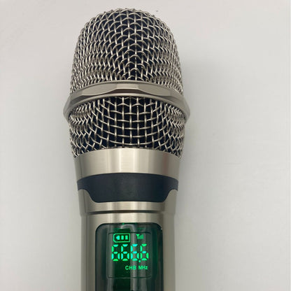 LEEDOAR HT-122 Wireless Black Handheld Microphone (1-to-2) Metal Case for Singing, Performances, and Trolley Speakers