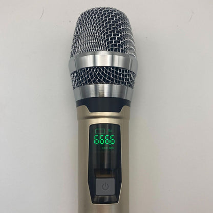 Leedoar HT-24 Rose Gold Dual-Channel UHF Karaoke Microphone System (1 Receiver, 2 Microphones) – Suitable for Outdoor Performances and Trolley Speakers