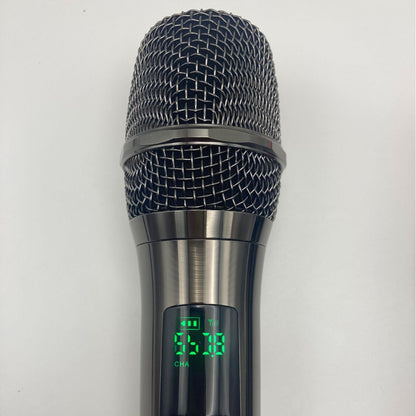 LEEDOAR HT-02 Dual UHF Anti-Interference Microphones for Portable Trolley Speaker Outdoor Performances Karaoke