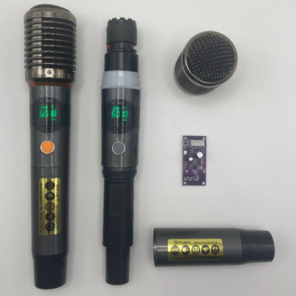 LEEDOAR HT-99 Wireless Black Handheld Microphone (1-to-2) Metal Case for Singing, Performances, and Trolley Speakers