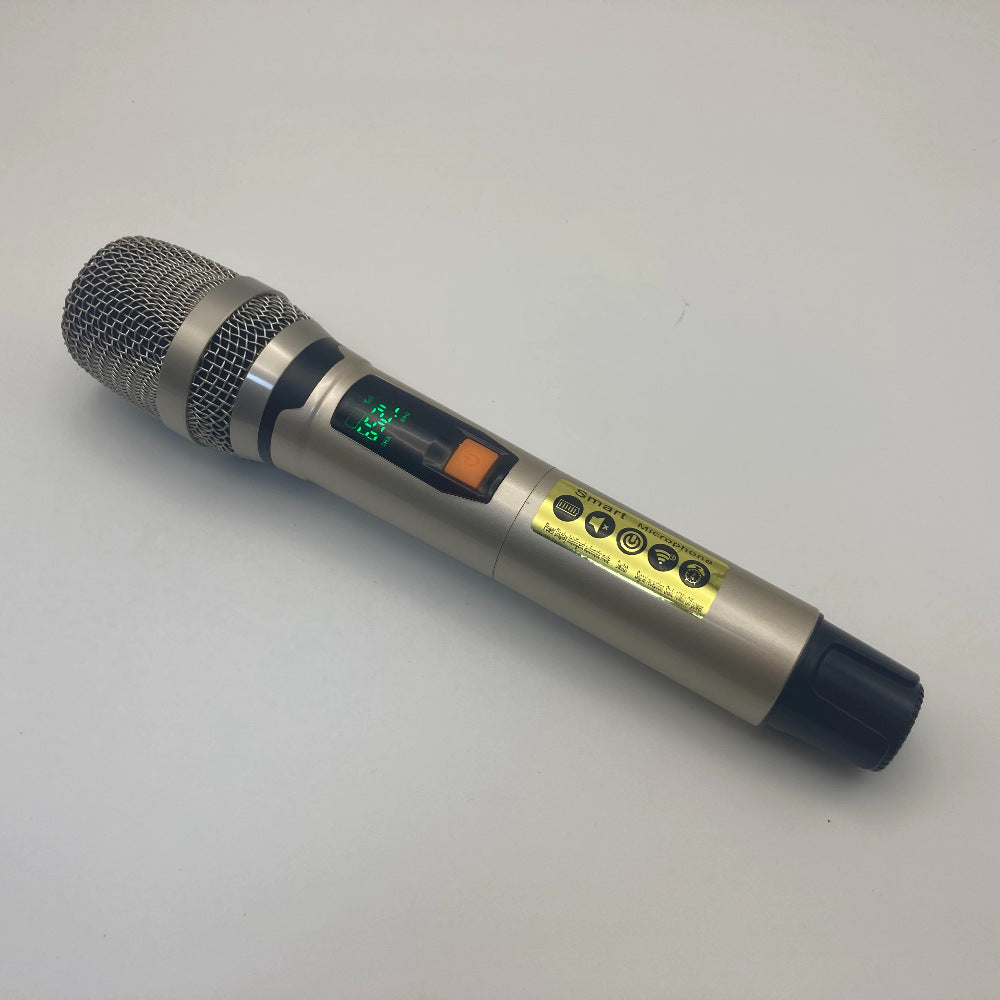 LEEDOAR HT-20A Dual UHF Anti-Interference Microphones (1-to-2 System) for Outdoor Trolley Speaker Performances Karaoke
